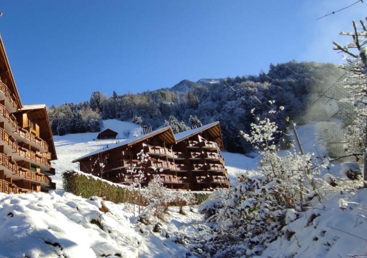 Aparthotel Mountain River Resort Val dʼIlliez Exteriér fotografie